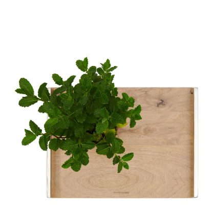 Rivièra Maison: The Classic Club Reversible Tray – Bild 3